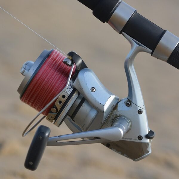 Jaka wędka na grunt