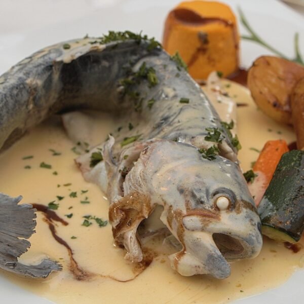 Jaka wędka na płotki