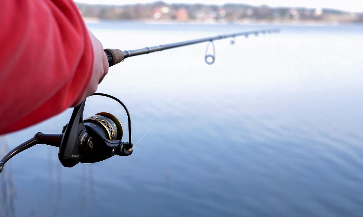 Jaka wędka na method feeder