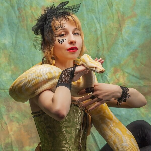 Dlaczego pyton królewski nie chce jeść