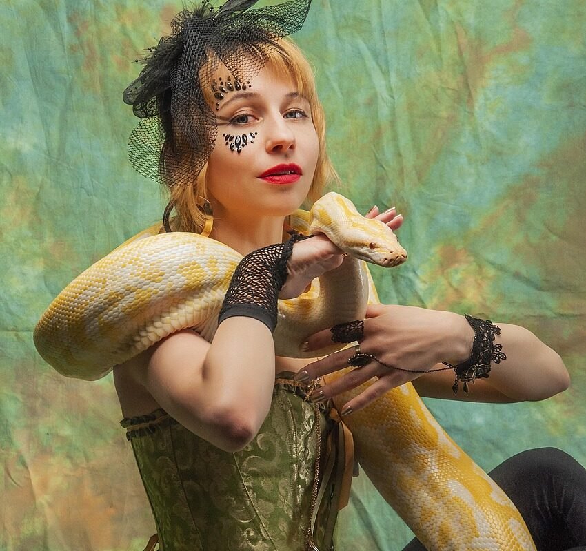 Dlaczego pyton królewski nie chce jeść