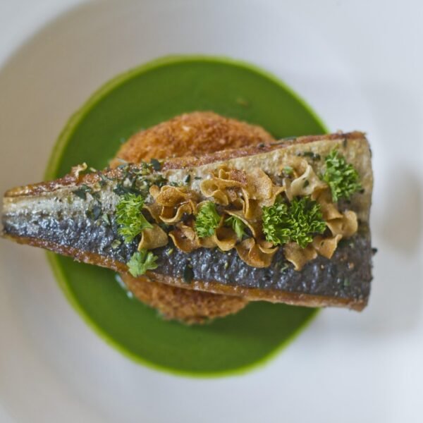 Jaka wędka na spinning