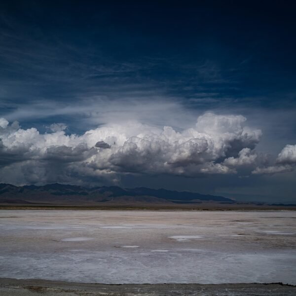 Jaka wędka na żywca z gruntu