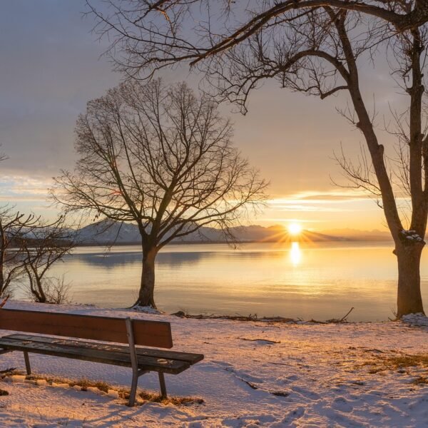 Jaka wędka na paprochy