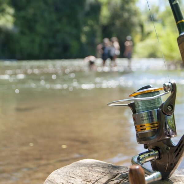 Jaka wędka spinningowa na początek