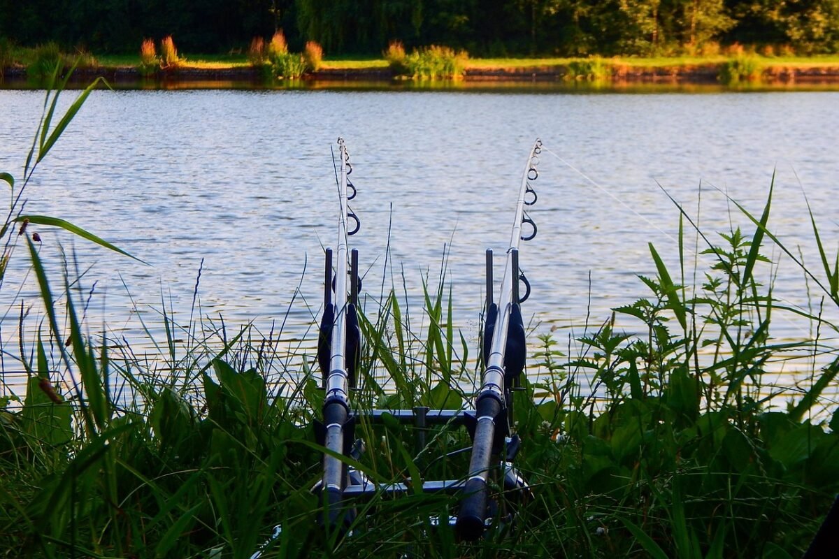 Jaka wędka muchowa na szczupaka