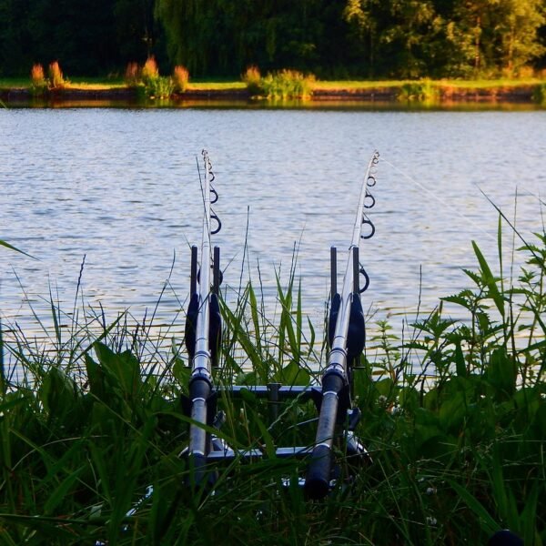 Jaka wędka muchowa na szczupaka