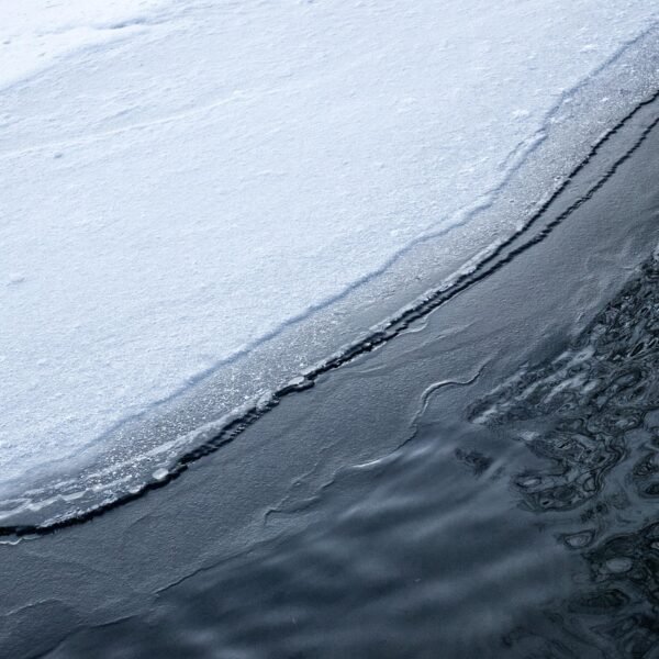 Jaka wędka teleskopowa na spławik