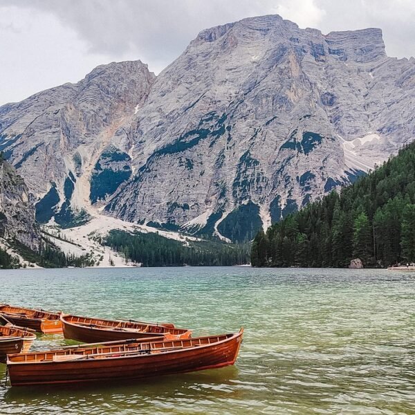 Jaka wędka teleskopowa na karpia