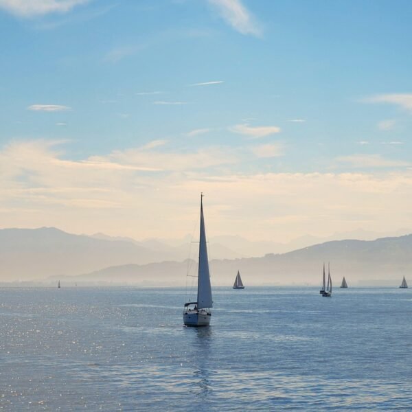 Jaka wędka na żywca